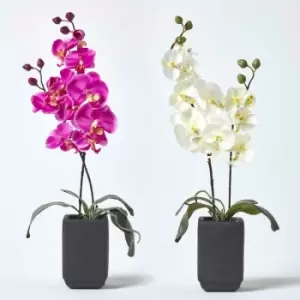 Image of HOMESCAPES Set of 2 Cream & Pink Artificial Orchids in Black Ceramic Pots, 55 cm