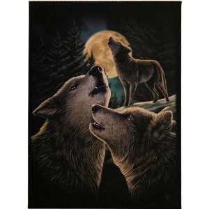 Image of Small Wolf Song Canvas Picture by Lisa Parker