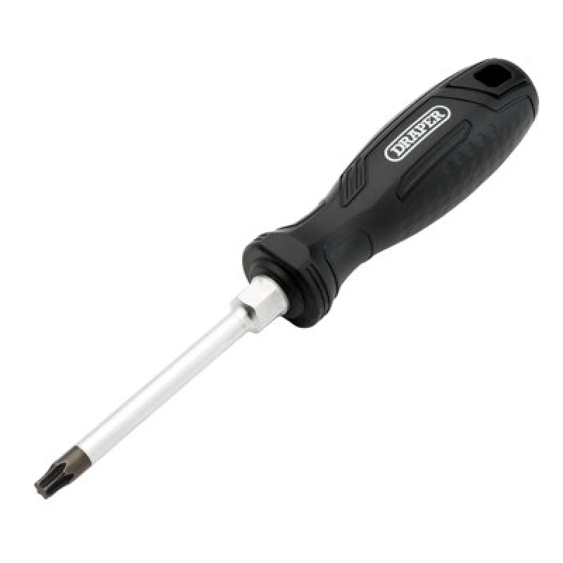 Image of Draper 13568 TX-STAR Hard Grip Screwdriver, T40 x 100mm 13568