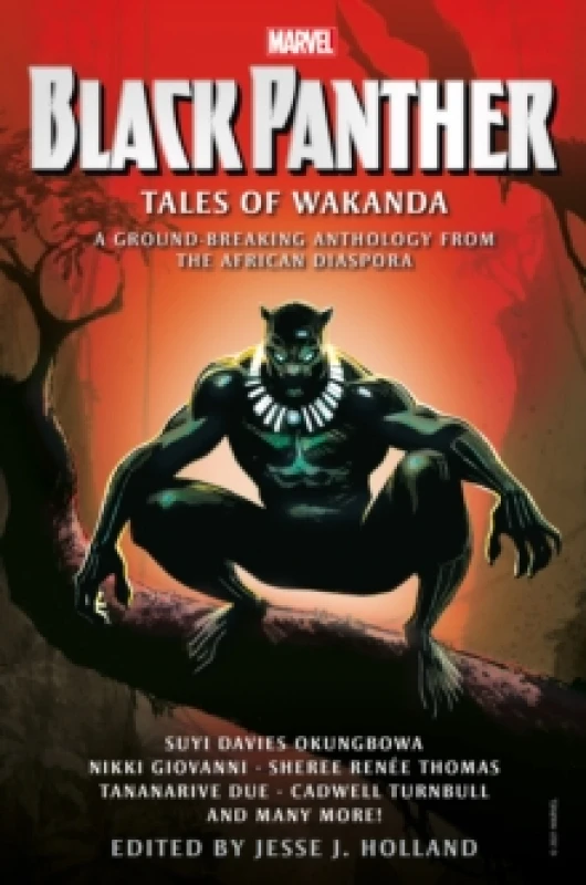 Image of Black Panther: Tales of Wakanda Paperback / softback