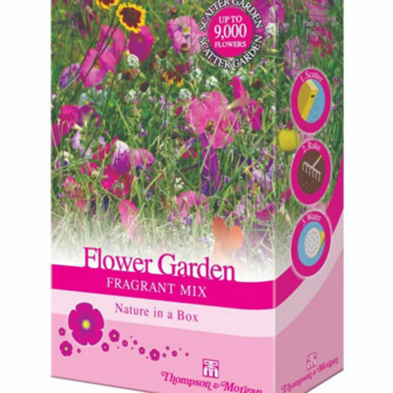 Image of Scatter Pack Flower Garden Fragrant Mix Easy Scatter Seed For Vibrant Colourful Blooms - Pack Of 2 Thompson & Morgan