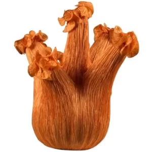 Image of Linea Verdace Sweet Fennel Table Lamp Orange Silk