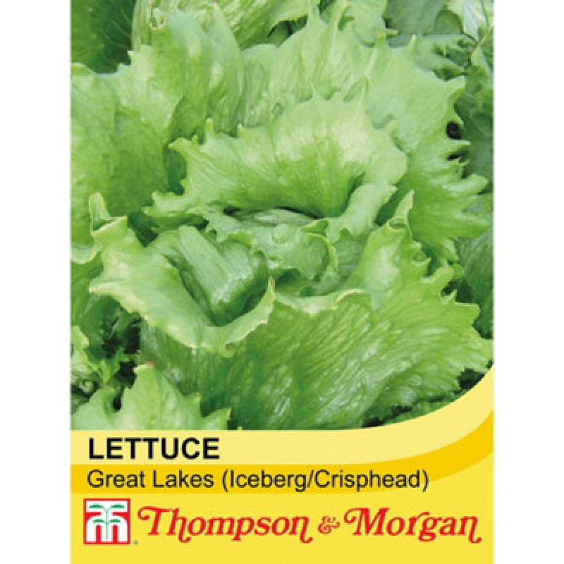 Image of Thompson & Morgan Lettuce Great Lakes - Heritage 1 Seed Packet (400 Seeds)