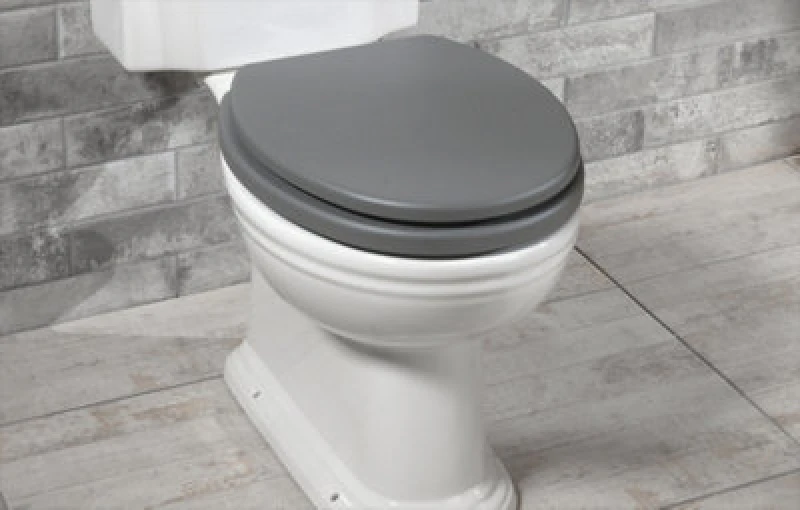 Image of Ashley 18" Toilet Seat - Grey