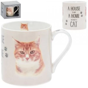 Image of Fine China Ginger Cat Mug By Lesser & Pavey
