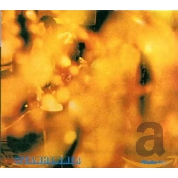 Image of Stemhammer - Reflection CD