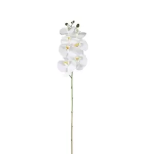Image of Crossland Grove Phalaenopsis Orchid (real Touch) (3Pk) White 860Mm