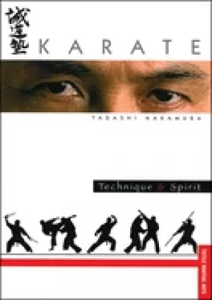 Image of karate technique and spirit