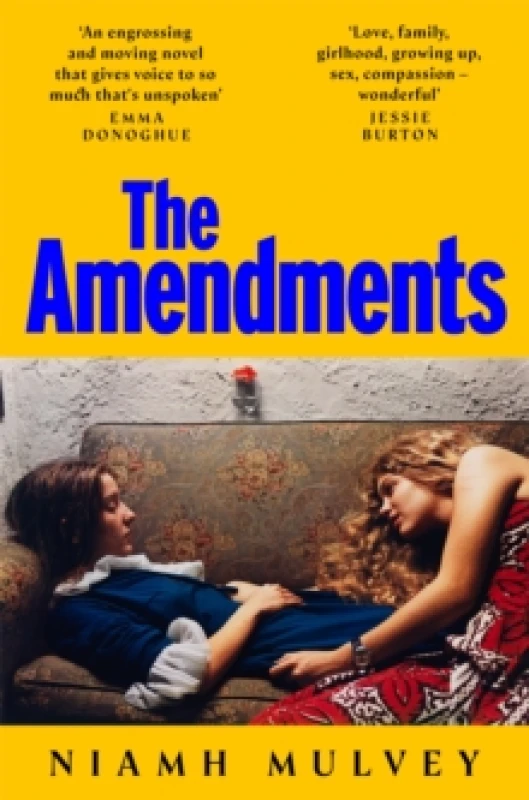 Image of The Amendments Paperback / softback