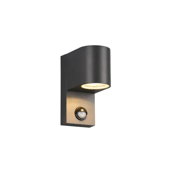 Image of Roya Modern Outdoor Round Down Wall Lamp Anthracite IP44 with PIR