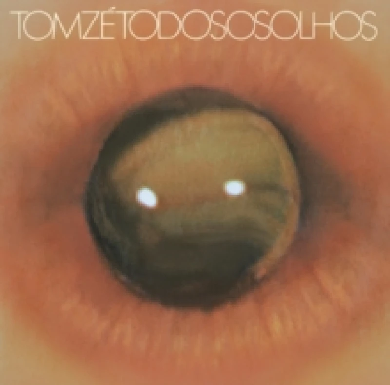 Image of Todos os olhos Vinyl