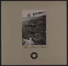 Image of Altamont Rising