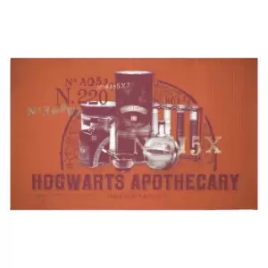 Image of Decorsome x Harry Potter Hogwarts Apothecary Woven Rug - Small