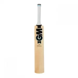 Image of Gunn And Moore and Moore Diamond 101 Cricket Bat Juniors