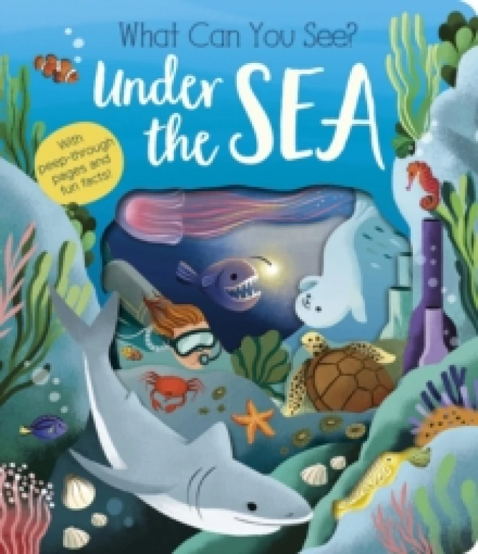 Image of What Can You See? Under the Sea Board book