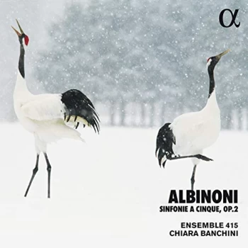 Image of Albinoni, T. - Albinoni: Sinfonie a Cinque, Op. 2 CD