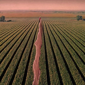 Image of Possible Humans - Everybody Split 2019 Vinyl