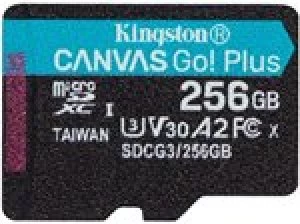 Image of Kingston Canvas Go Plus 256GB microSDXC Card 170MB/s Read A2 U3 V30 (Card Only)