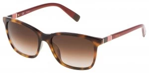 Image of Furla Shiny Brown Havana Brown Lens Sunglasses.