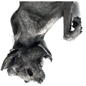 Image of Nordvargr - Metempsychosis Vinyl