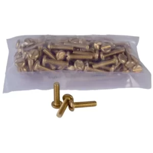 Image of Schneider Electric 3747151 Brass Pan Head Machine Screws M4 x 16mm...