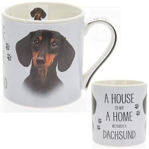 Image of Fine China Dachshund Mug By Lesser & Pavey