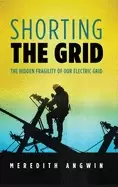 Image of shorting the grid the hidden fragility of our electric grid