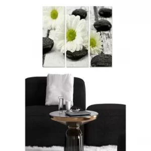 Image of MDF4436758 Multicolor Decorative MDF Painting (3 Pieces)