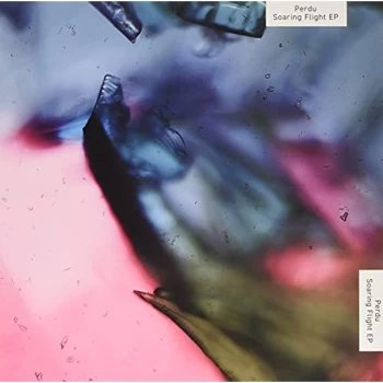 Image of Perdu - Soaring Flight Vinyl