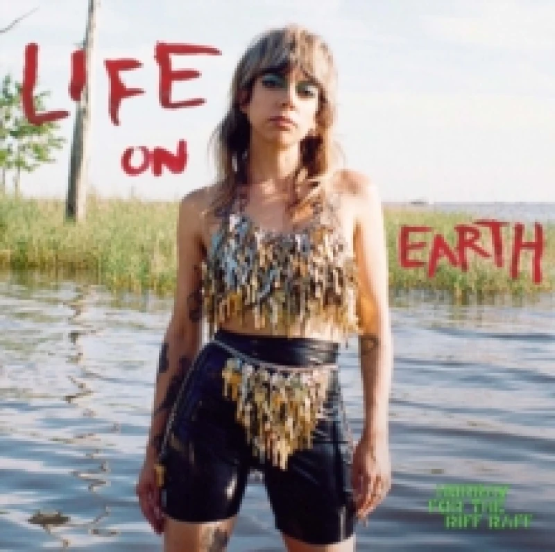 Image of Life On Earth Vinyl