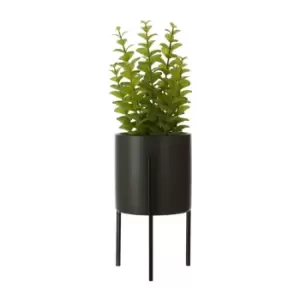Image of Interiors By Premier Thyme in Black Ceramic Pot with a Iron Stand