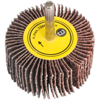 Image of Sealey Flap Wheel 25mm 10mm 60g