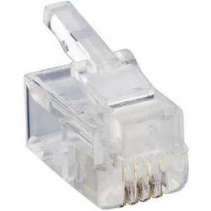 Image of Lumberg P 126 Modular Plug 4p4c RJ10 Plug straight Transparent