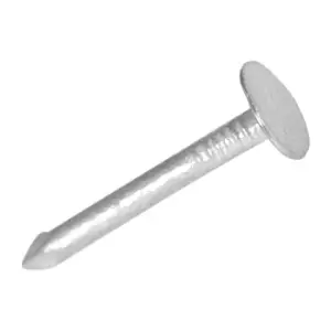 Image of Extra Large Head Clout Nail Pack 30mm