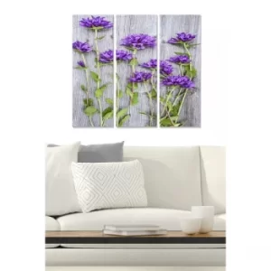 Image of MDF2522988 Multicolor Decorative MDF Painting (3 Pieces)