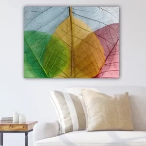 Image of 372942799_70100 Multicolor Decorative Canvas Painting