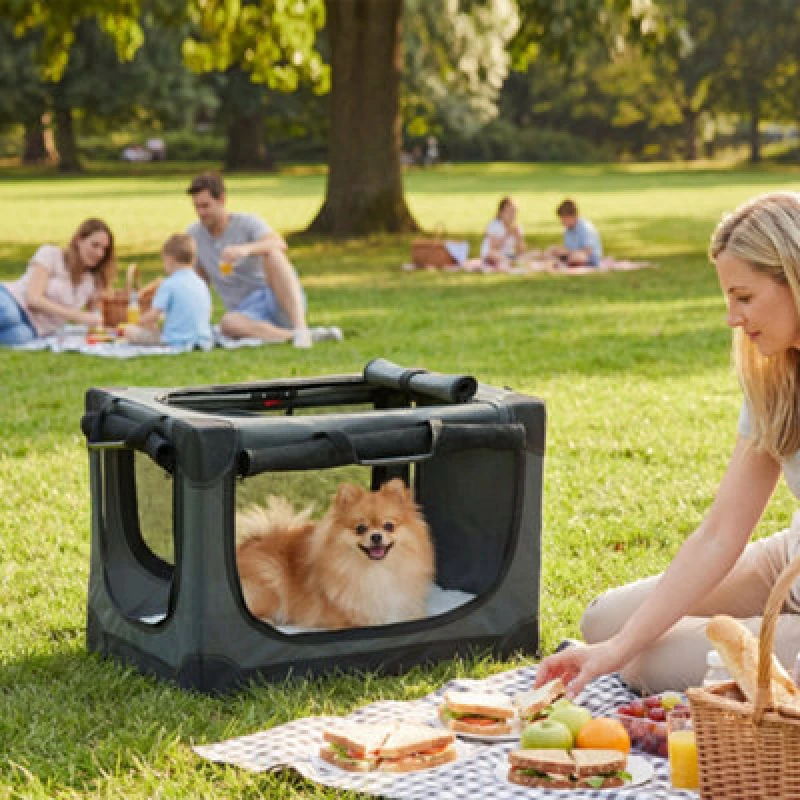 Image of Pawhut Collapsible Dog Crate Portable Pet Travel Carrier 60 X 42 X 43 Cm