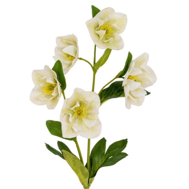 Image of Hill Interiors Hellebore Artificial Flower White (One Size)