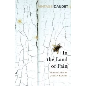 Image of In the Land of Pain