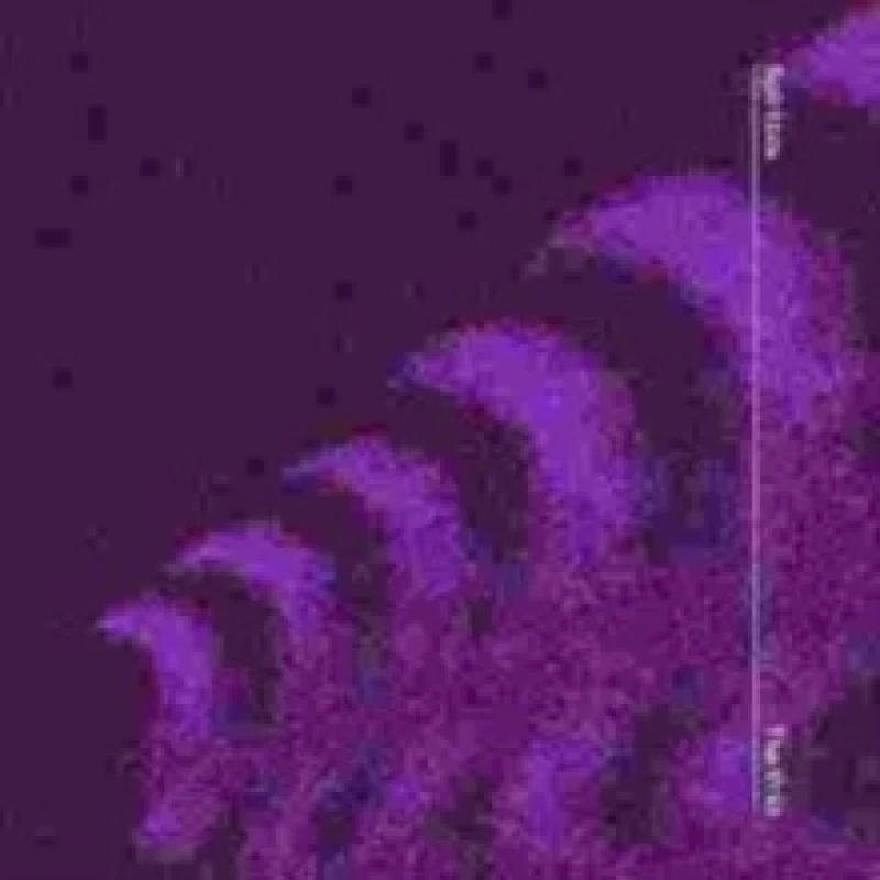 Image of Spiritbox The fear of fear SINGLE multicolor Onesize Unisex