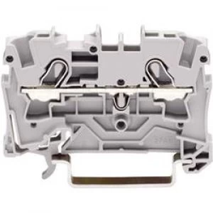 Image of Continuity 6.20 mm Pull spring Configuration N Blue