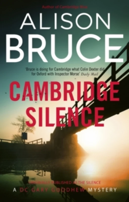 Image of Cambridge Silence Paperback / softback