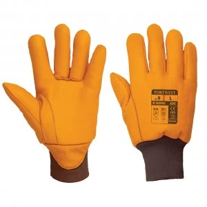 Image of Portwest Antarctica Insulatex Lined Gloves Tan XL