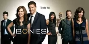 Image of Bones: The Complete Fourth Season - DVD - Used