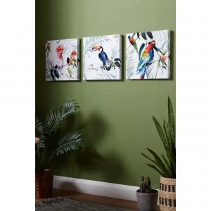 Image of Set of 3 Tropical Amazon Birds Printed Canvas