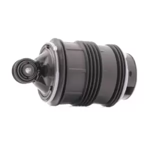 Image of RIDEX Air Spring, suspension MERCEDES-BENZ 4119A0002 2113200925,A2113200925,A211320092580