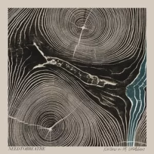 Image of Rivers in the Wasteland by Needtobreathe CD Album