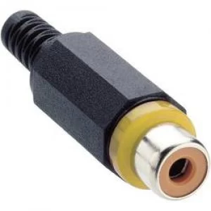 Image of RCA connector Socket straight Number of pins 2 Yellow Lumberg XKTO 1