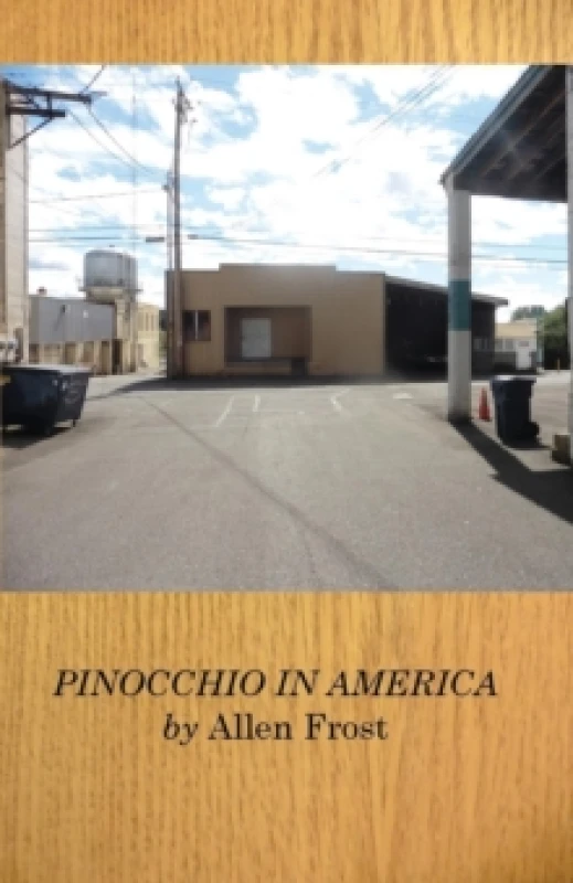 Image of Pinocchio in America Paperback / softback