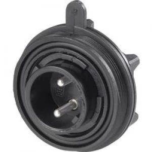 Image of Bulgin PX0735P 2 Pole IP68 Pin Connector Standard Buccaneer Front Panel Mount 10A